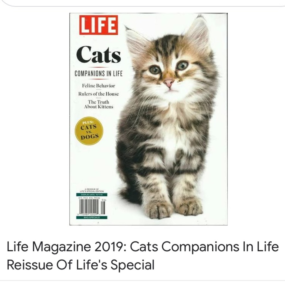 Life Cats Magazine